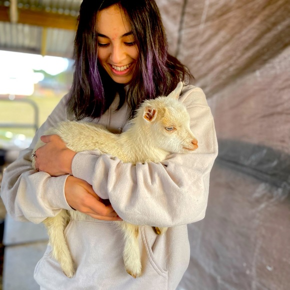 📖🪴Spring Is in the Air🪴Bookmark 🐾🌻 - Picture 5 of 16